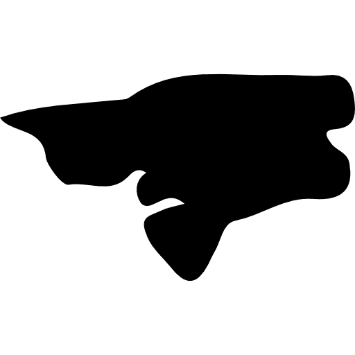 Guinea bissau africa map country icon