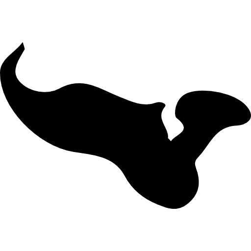 Tonga maps and flags map country icon