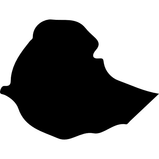 Ethiopia nation maps and flags country icon