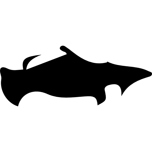 Russia map europe maps and flags icon