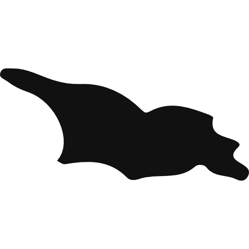 Georgia europe country nation icon