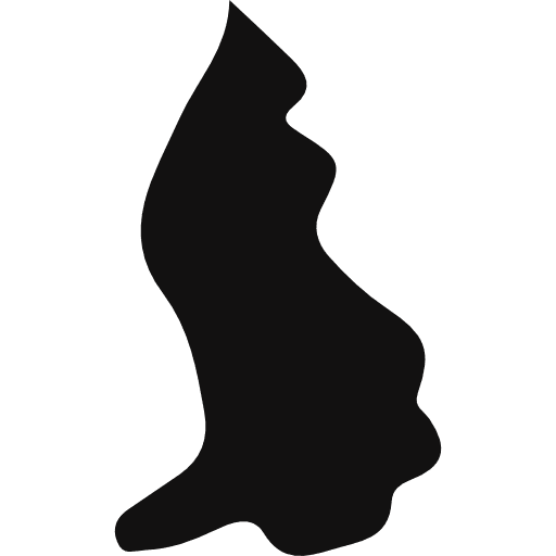 Liechstenstein europe nation geography icon