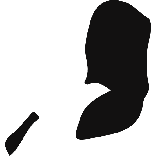 Palestine nation maps and flags asia icon