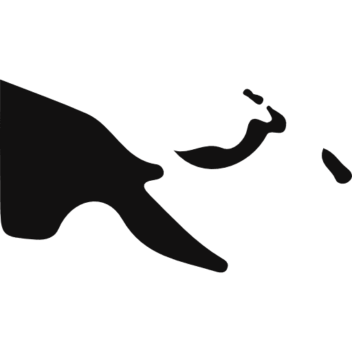 Papua new guinea country nation asia icon