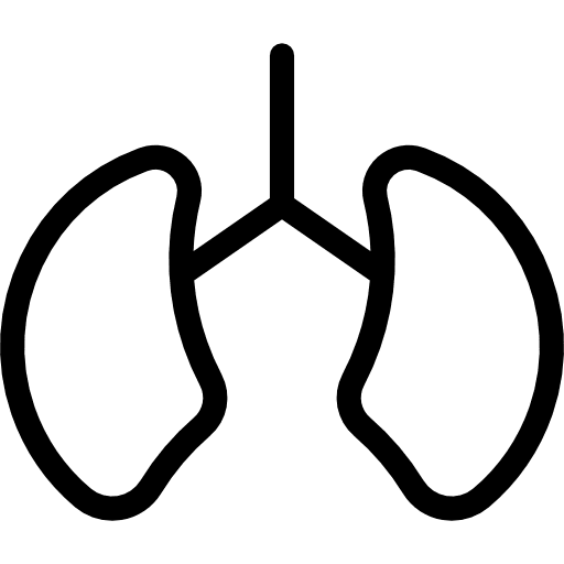 Lungs organs medical hospital icon