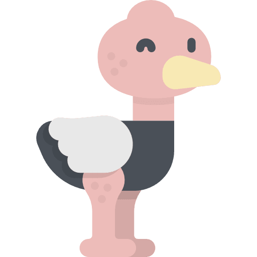 Ostrich ostrich wildlife animal kingdom icon
