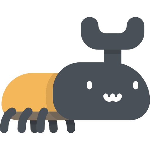 Beetle beetle insect animal kingdom icon