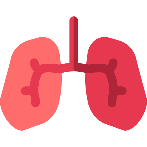 Lungs breath anatomy human body icon