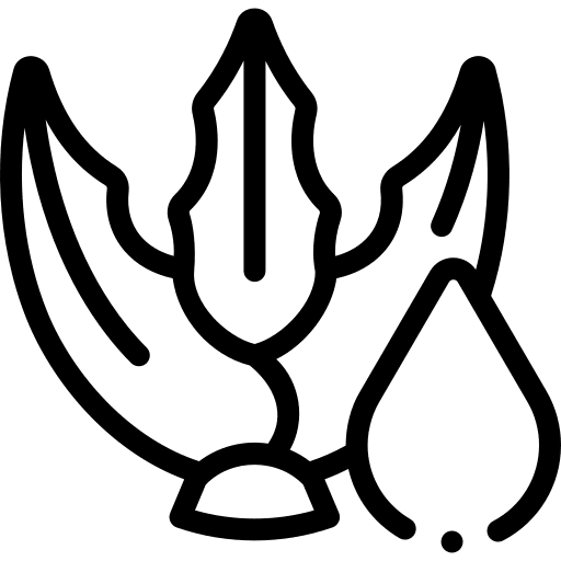 Aloe vera treatment gel skin care icon