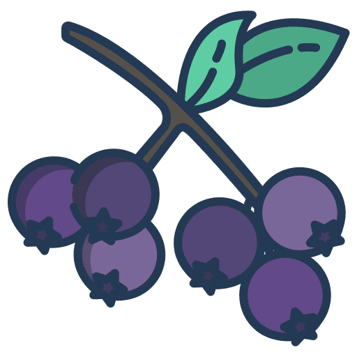 Berries nature organic vegan icon
