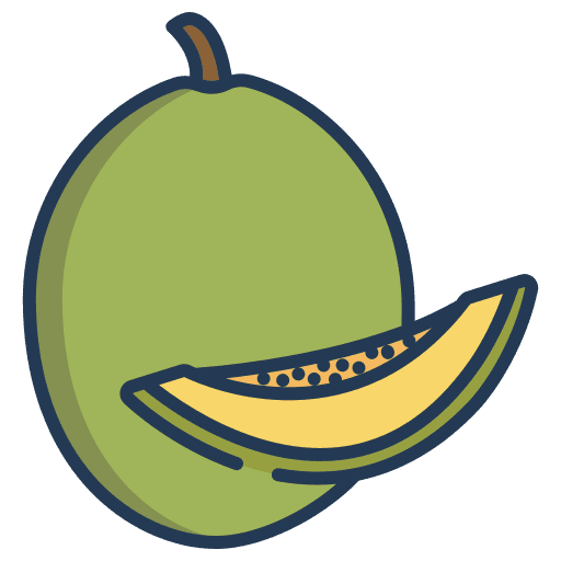 Cantaloupe vegan organic fruit icon