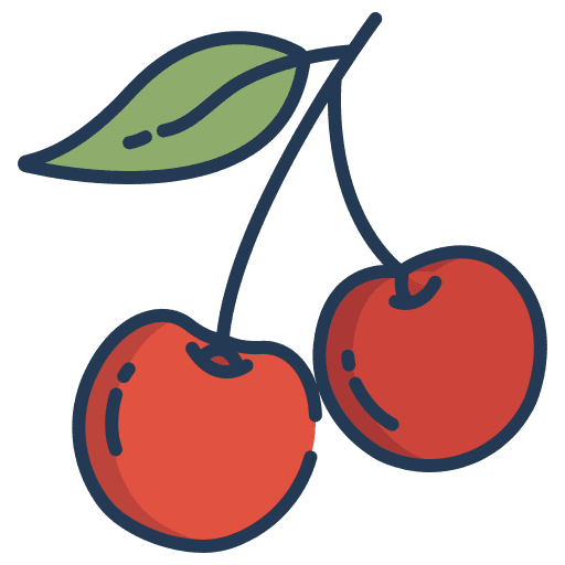 Cherry fruit vegetarian healthy food icon