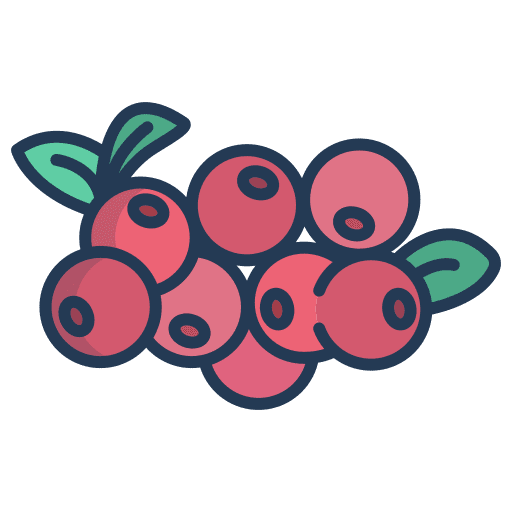 Cranberry berries fruits cranberry icon