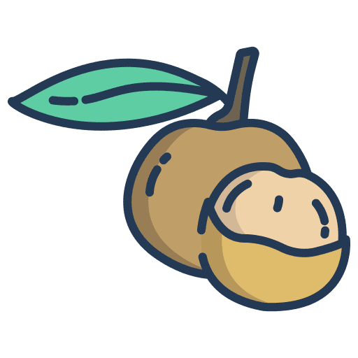 Longan healthy food organic longan icon