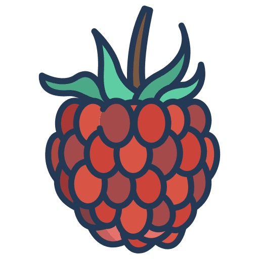 Raspberry organic vegetable fruit icon