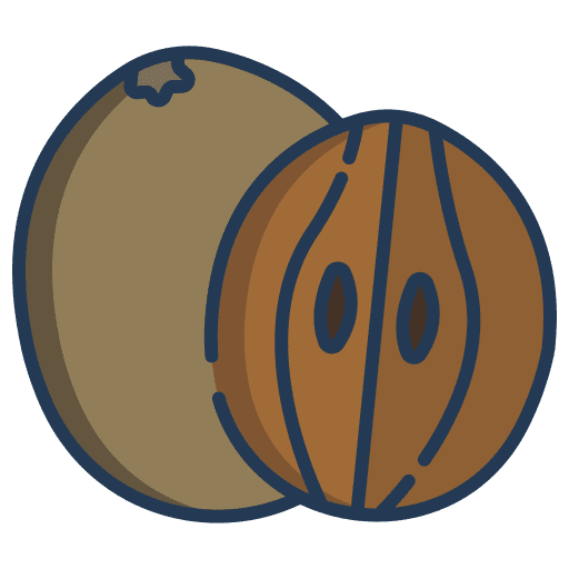 Sapodilla exotic fruit tropical icon