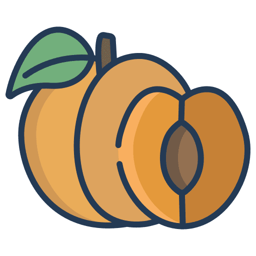 Apricot vitamins organic fruit icon