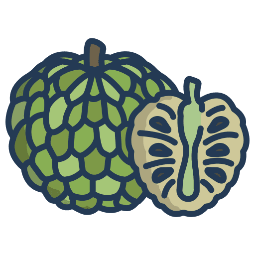 Custard appel fruit healthy food vegetarian icon