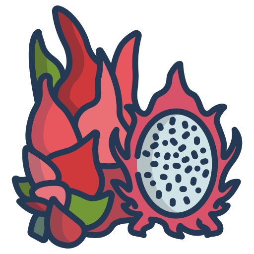 Dragon fruit vegan diet dragon fruit icon