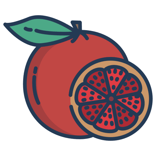 Grapefruit diet food and restaurant fruit icon