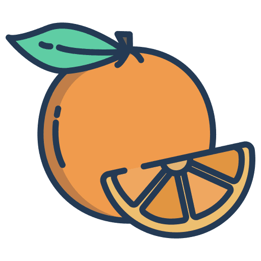 Orange fruit vegan orange icon