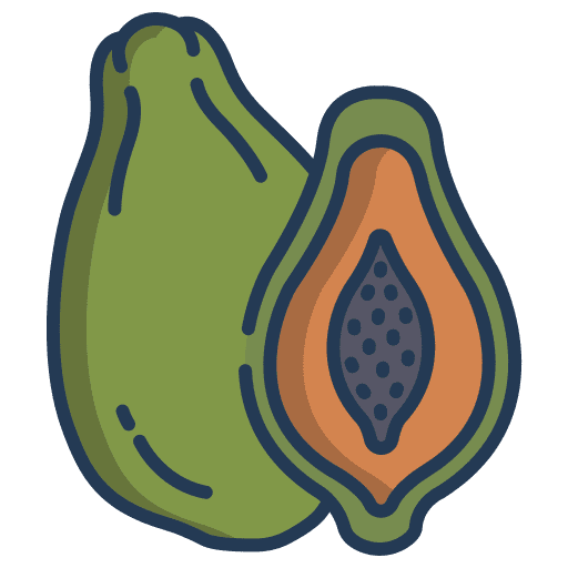 Papaya organic vegan food and restaurant icon