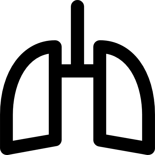 Lungs organ healthcare and medical anatomy icon