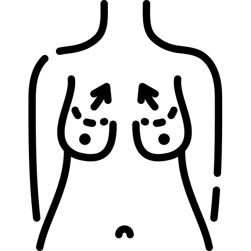 Anatomy body part breast healthcare and medical icon