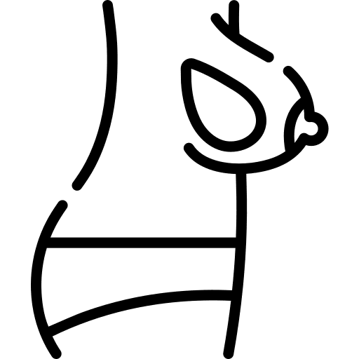 Anatomy surgery beauty breast implant icon