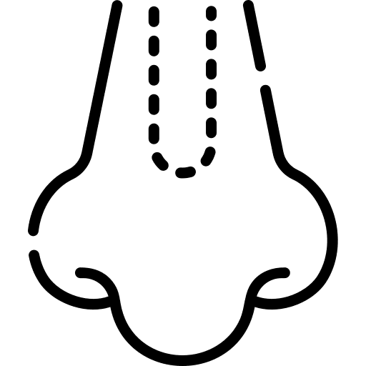 Beauty body part nose rhinoplasty icon