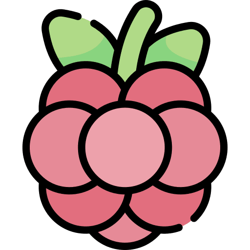 Berry berry bouquet organic icon