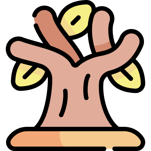 Dry tree autumn dry leaf botanical icon