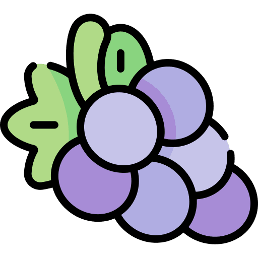 Grapes healthy food viburnum fruit bouquet icon