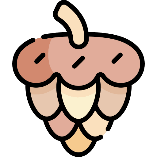 Pine cone pine cone dry season icon