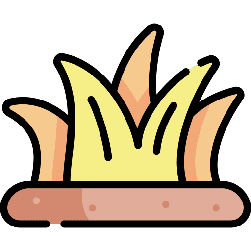 Grass lawn grass meadow icon