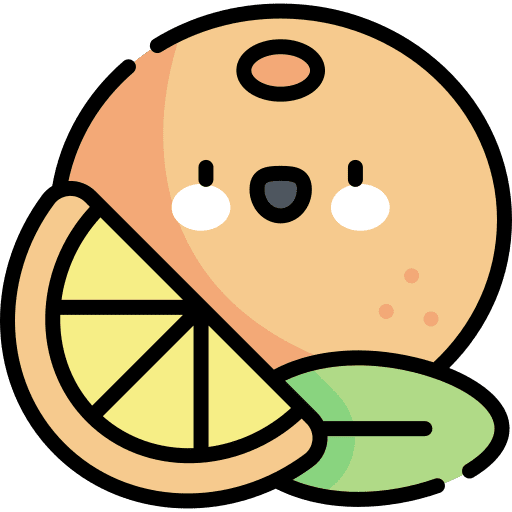 Orange organic fruit diet icon
