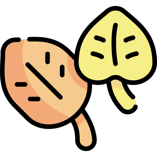 Leaves nature season autumn icon