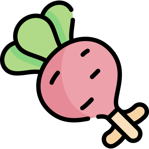 Radish vegan healthy food radish icon
