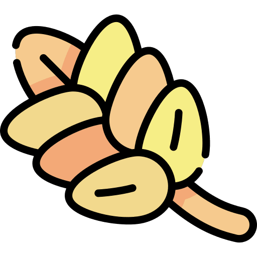 Wheat wheat seed food and restaurant icon