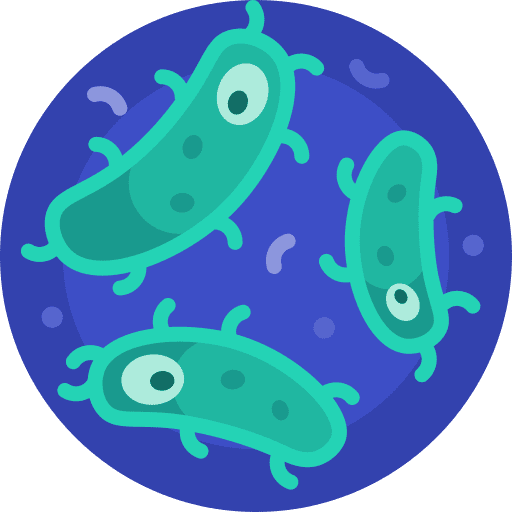 Bacteria healthcare and medical cells cell icon