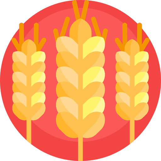 Wheat allergy plant food icon