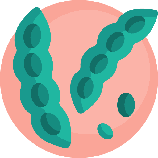 Beans allergen soya vegan icon