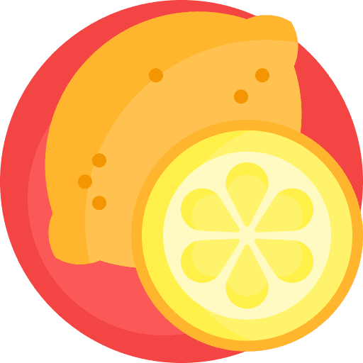Citrus vegan food citrus icon