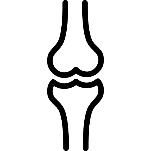 Ball of the knee knee body parts knees icon