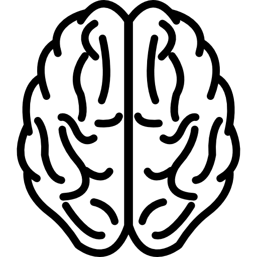 Brain upper view outline anterior part human brain brain icon