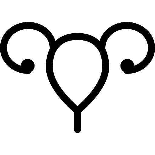 Uterus and fallopian tube feminine female system icon