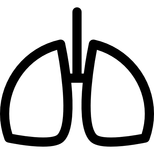 Human lungs outline lungs outline respiratory lungs icon