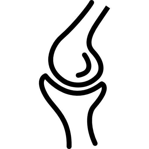 Kneecap bones people body parts icon