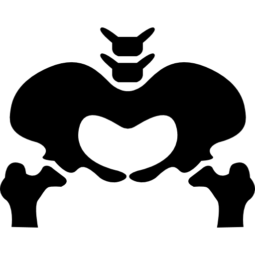 Pelvic bone silhouette medical pelvic area pelvis icon