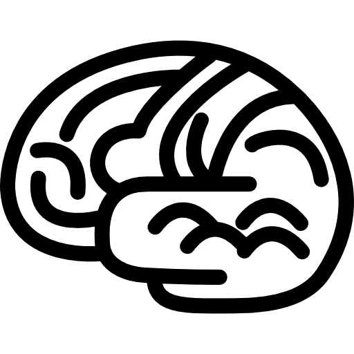 Brain body organ outline brain organ body organ brain icon